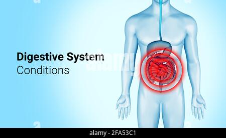 Schmerzen im Verdauungssystem auf 3d-Darstellung des männlichen Körpers. Infografik zu Darmschmerzen im anatomischen Verdauungssystem. Bauch schmerzt Krankheit. 3d-Rendering. Stockfoto