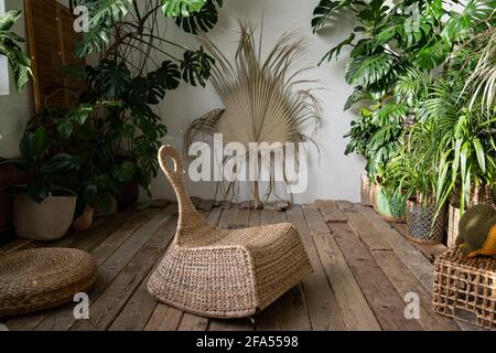 Innengarten, stilvolles Wohnzimmer mit Korbmöbeln, Zimmerpflanzen in Körben und altem Boden Stockfoto
