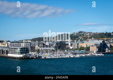 Übersee-Terminal und Chaffers Marina, Wellington, Nordinsel, Neuseeland Stockfoto