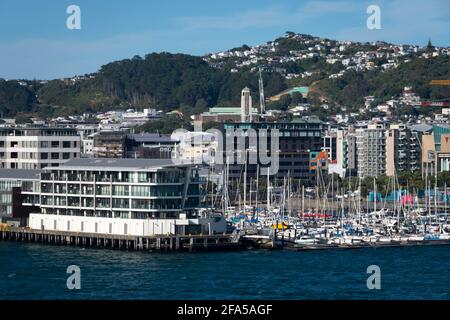 Übersee-Terminal und Chaffers Marina, Wellington, Nordinsel, Neuseeland Stockfoto