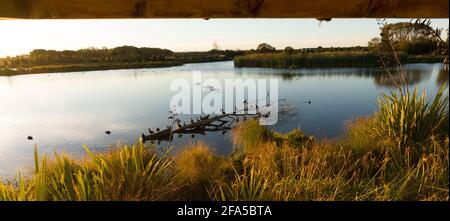 Travis Feuchtgebiet Naturpark Christchurch Neuseeland Stockfoto