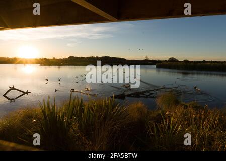 Travis Feuchtgebiet - Sonnenuntergangsszene im Naturerbepark in Christchurch, Neuseeland Stockfoto