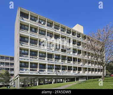 Alton East Anwesen in Roehampton, London, Großbritannien. Berühmte modernistische Wohnanlage der 1950er Jahre, inspiriert von Le Corbsiers Unite d'Habitation Stockfoto