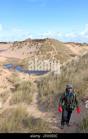 Walker at the Devil's Hole, eine große Düne-Schlacke mit brütenden Natterjack-Kröten im Ravenmeols Sandhills Local Nature Reserve, Formby, Sefton Coast, Großbritannien Stockfoto