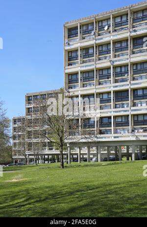 Alton East Anwesen in Roehampton, London, Großbritannien. Berühmte modernistische Wohnanlage der 1950er Jahre, inspiriert von Le Corbsiers Unite d'Habitation Stockfoto