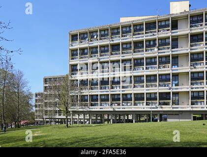 Alton East Anwesen in Roehampton, London, Großbritannien. Berühmte modernistische Wohnanlage der 1950er Jahre, inspiriert von Le Corbsiers Unite d'Habitation Stockfoto