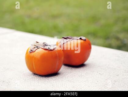 Paradies Palmenfrucht, Kaki Frucht, reife Paradies Palme auf weißem Stein, Gras im Hintergrund. Stockfoto