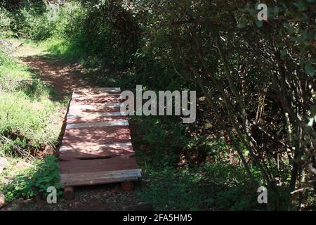 Holzbrücke im Schatten Stockfoto