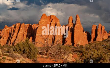 Die roten sandsteinfinnen sind Teil des Arches National Park, der Fiery Furnace genannt wird. Es liegt in der Nähe von Moab, Utah, USA. Stockfoto