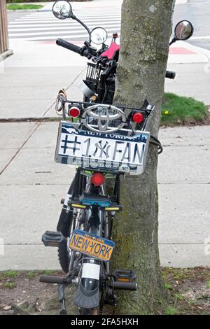 Ein engagierter New Yorker Yankees-Fan zeigt seine Loyalität auf seinem Fahrrad. In Flushing, Queens, New York. Stockfoto