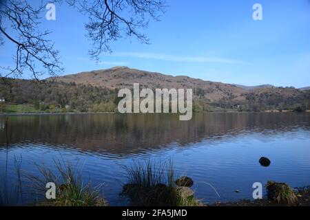 Wunderschöne frühlingshafte Szene mit Blick auf den Grasmere See, die die Insel Grasmere mit dem hohen Aussichtspunkt „Point of Silver“ überblickt. Stockfoto