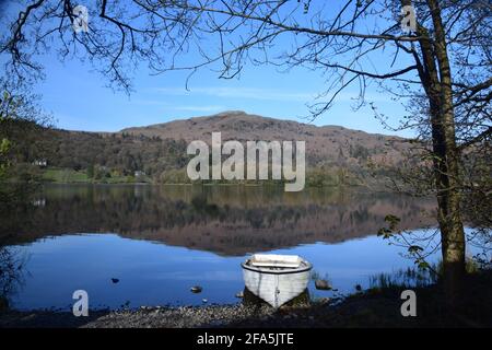 Wunderschöne frühlingshafte Szene mit Blick auf den Grasmere See, die die Insel Grasmere mit dem hohen Aussichtspunkt „Point of Silver“ überblickt. Stockfoto
