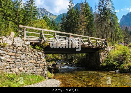 Alte Vintage-Brücke im Tatra-Nationalpark Fluss Stockfoto