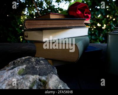 Eine Rose auf einem Stapel von Büchern und Eine Schreibmaschine Stockfoto