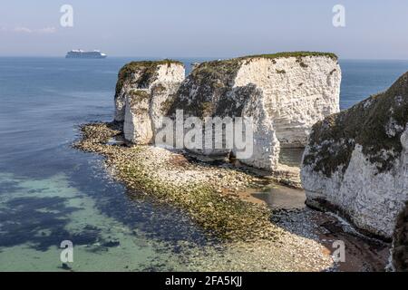 Hymne of the Seas und Old Harry's Rocks, Studland, Isle of Purbeck, Dorset, Großbritannien Stockfoto