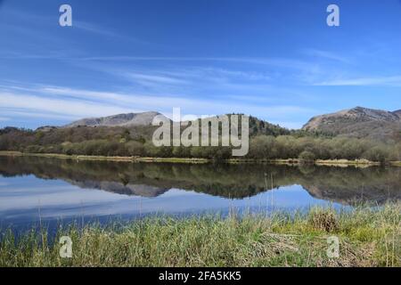 Das Hotel liegt im Tal von Great Langdale und ist umgeben von den inspirierenden Langdale Hechten liegt das schöne Elterwater, in alten nordischen, Schwanensee. Stockfoto