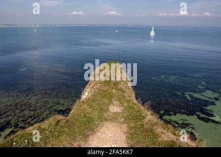 Studland Bay aus Old Harry's Rocks, Studland, Isle of Purbeck, Dorset, Großbritannien Stockfoto