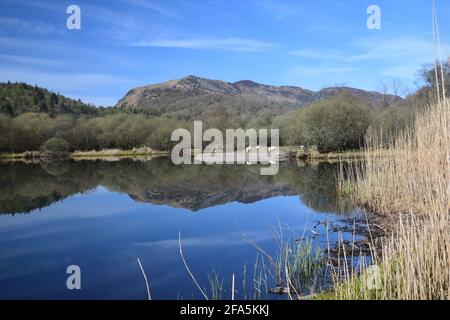 Das Hotel liegt im Tal von Great Langdale und ist umgeben von den inspirierenden Langdale Hechten liegt das schöne Elterwater, in alten nordischen, Schwanensee. Stockfoto