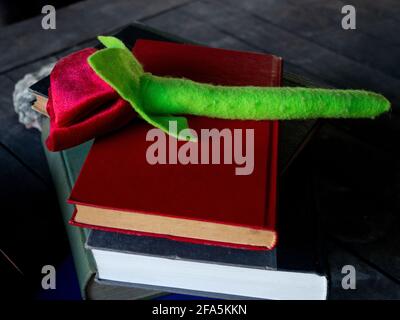 Eine Rose auf einem Stapel von Büchern und Eine Schreibmaschine Stockfoto