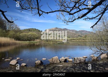 Das Hotel liegt im Tal von Great Langdale und ist umgeben von den inspirierenden Langdale Hechten liegt das schöne Elterwater, in alten nordischen, Schwanensee. Stockfoto