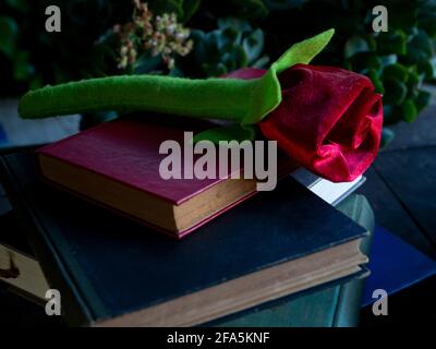 Eine Rose auf einem Stapel von Büchern und Eine Schreibmaschine Stockfoto