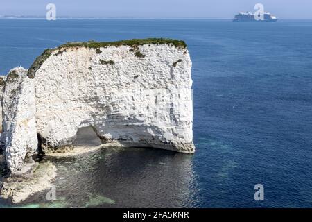 Hymne of the Seas und Old Harry's Rocks, Studland, Isle of Purbeck, Dorset, Großbritannien Stockfoto