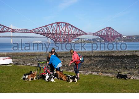 South Queensferry, Schottland, Großbritannien. April 2021. Klar warm und sonnig an der South Queensferry. Menschen, die das Beste aus dem guten Wetter machen und beginnen, die Natur an den üblichen Besucher-Hotspots zu besuchen und zu genießen. Wandern mit den Hunden am Strand. Kredit: Craig Brown/Alamy Live Nachrichten Stockfoto