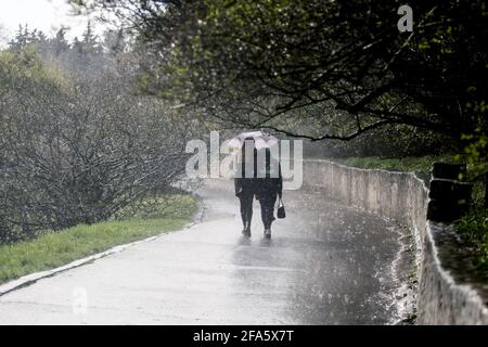 Nicht exklusiv: KIEW, UKRAINE - 22. APRIL 2021 - Frauen gehen in der Mykola Hryschko National Botani unter einem Regenschirm durch eine Gasse, die sich vor dem Regen versteckt Stockfoto