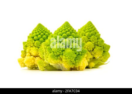 Blütenstand von Romanesco Broccoli (Brassica oleracea) auf weißem Hintergrund Stockfoto