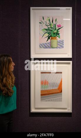 Bonhams, Knightsbridge, London, Großbritannien. 23. April 2021. Der Verkauf von Prints & Multiples findet am 28. April in Bonhams statt und umfasst Werke des 17. Bis 21. Jahrhunderts. Bild: David Hockney R.A. (britisch). (Oben): Ohne Titel No. 516, Schätzung £5,000-7,000; (unten); Regen auf dem Studiofenster, Schätzung £6,000-8,000. Drucke von iPad-Zeichnung in Farben. Quelle: Malcolm Park/Alamy Live News. Stockfoto