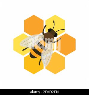 Bienen und Waben. Vektordarstellung auf weißem Hintergrund isoliert. Stock Vektor