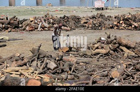 Allahabad, Uttar Pradesh, Indien. April 2021. Prayagraj: Eine Arbeitskraft, die am Freitag, den 23. April 2021, in Daraganj Ghat in Prayagraj Holz für die Einäscherung aussortiert. Quelle: Prabhat Kumar Verma/ZUMA Wire/Alamy Live News Stockfoto