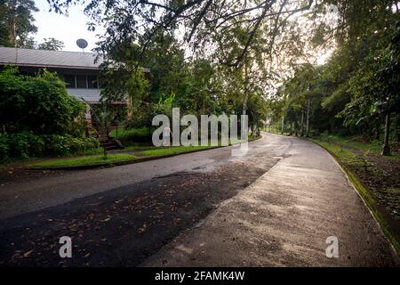 Straße in der Stadt Gamboa, Provinz Colon, Republik Panama, Mittelamerika. Stockfoto