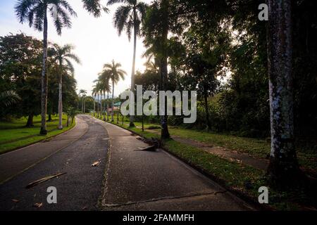 Straße in der Stadt Gamboa, Provinz Colon, Republik Panama, Mittelamerika. Stockfoto