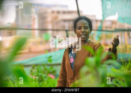 ADDIS ABEBA, 23. April 2021 Tigist Abebe, Absolvent der Buchhaltungs- und -buchhaltung, beschäftigt sich mit Garten- und Landschaftsbauarbeiten, die die Massenproduktion von Pflanzenkeimling über behelfsmäßige Gewächshaus- und Baumschulflächen an den Straßenseiten von Addis Abeba, Äthiopien, umfassen, 22. April 2021. Während Äthiopien sich darauf einlässt, seinen Anspruch auf den Aufbau einer grünen Wirtschaft zu verwirklichen, umarmte die verzweifelte, arbeitssuchende äthiopische Jugend die einst vernachlässigte kommerzielle Baumpflanzung und Gartenarbeit. Pflanzensämlingproduktion und Gartenarbeit, wie eine typische Bauernarbeit, waren lange für arme und ländliche Äthiopier, Mo, übrig geblieben Stockfoto