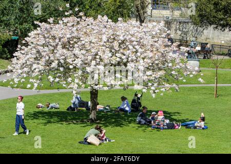 Bath, Somerset, Großbritannien, 23. April 2021. Die Prognosen sagen voraus, dass das warme Wetter bis zum Wochenende andauern wird. Besucher der Parade Gardens in Bath können sich die warme Nachmittagssonne zunutze machen. Quelle: Lynchpics/Alamy Live News Stockfoto