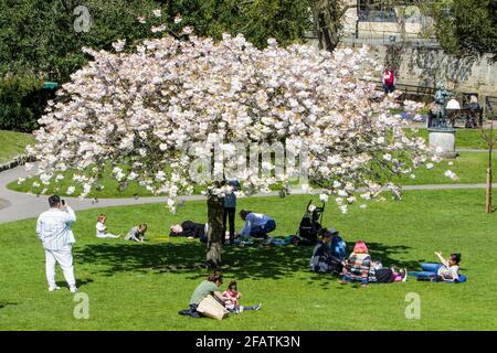 Bath, Somerset, Großbritannien, 23. April 2021. Die Prognosen sagen voraus, dass das warme Wetter bis zum Wochenende andauern wird. Besucher der Parade Gardens in Bath können sich die warme Nachmittagssonne zunutze machen. Quelle: Lynchpics/Alamy Live News Stockfoto