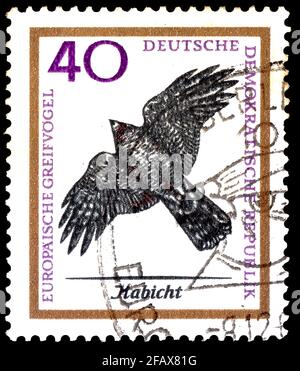 Gemany (DDR) - UM Decemvere 08, 1965: Eine in Ostdeutschland gedruckte Marke - DDR zeigt Raubvögel Europas - Raubvögel-Serie, um 1965 Stockfoto