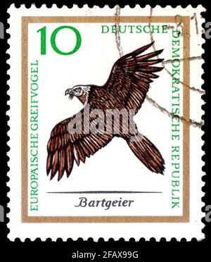 Gemany (DDR) - UM Decemvere 08, 1965: Eine in Ostdeutschland gedruckte Marke - DDR zeigt Raubvögel Europas - Raubvögel-Serie, um 1965 Stockfoto
