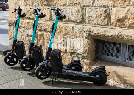 TIER E-Scooter, geparkt in Münster, Münster, Deutschland Stockfoto