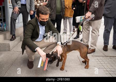 Pablo Casado Blanco, Politiker und Führer der Volkspartei, umarmt ein Haustier bei seinem Besuch an den Buchständen der Cuesta de Moyano während der Feier des Sant Jordi Tages. Stockfoto