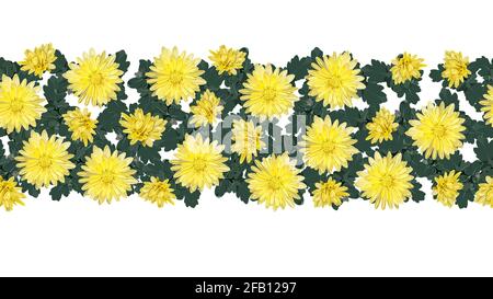 Nahtloser Streifen von gelben Chrysanthemen Blumen auf weißem Hintergrund Stock Vektor