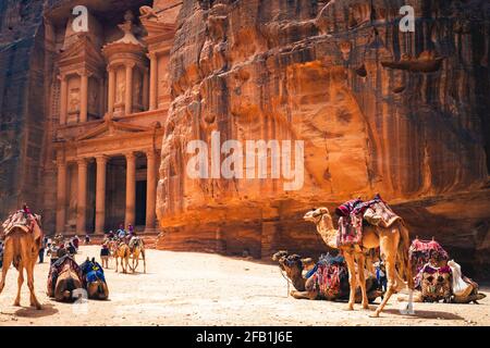 Petra Al Khazneh, auch bekannt als Schatzkammer, mit Kamelen in Petra, Jordanien Stockfoto