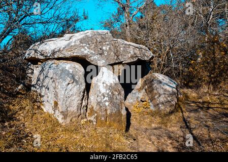 Kerdaniel Dolmen versteckt im Wald bei Locmariaquer Stockfoto