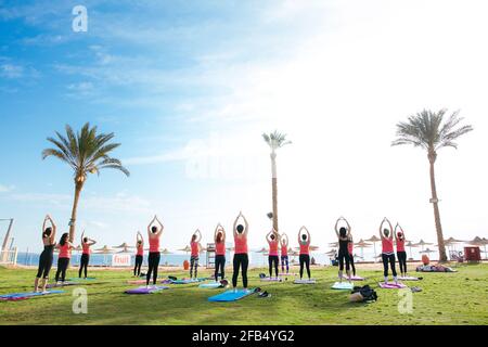 Eine Gruppe von Touristen, die im Hotel Yoga im Freien machen Stockfoto