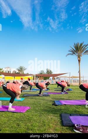 Eine Gruppe von Touristen, die im Hotel Yoga im Freien machen Stockfoto