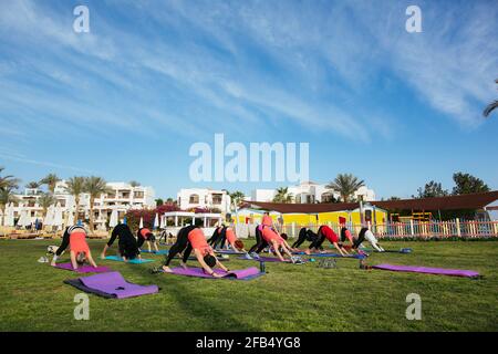 Eine Gruppe von Touristen, die im Hotel Yoga im Freien machen Stockfoto