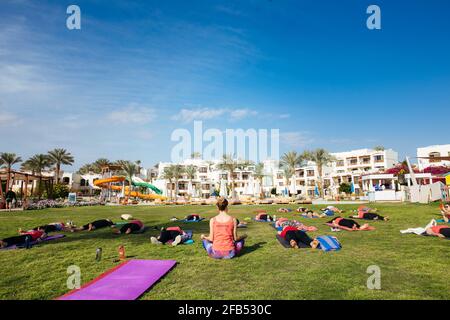 Eine Gruppe von Touristen, die im Hotel Yoga im Freien machen Stockfoto