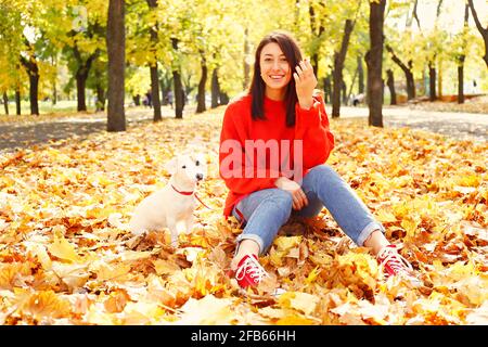 Attraktive junge Frau mit langen brünetten Haaren, trägt übergroße rote Pullover & Mama Jeans zu Fuß im Park ihr Jack Russell Terrier Welpen, gelbe verlassen Stockfoto