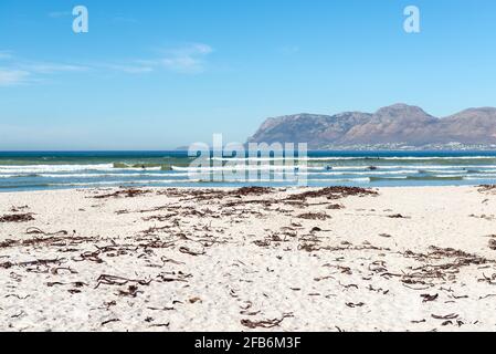 Südafrikanische Menschen surfen in den Wellen in der Nähe von Kapstadt mit Tafelberg Hintergrund, Muizenberg Beach, Südafrika. Stockfoto